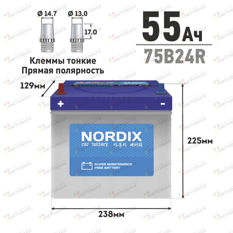 Аккумулятор  75B24R 55Ah 520А 238*129*225 необслуж малклемма NORDIX SMF75B24RNDX